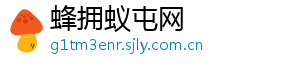 蜂拥蚁屯网